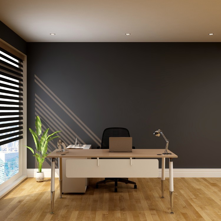 Painting and Remodeling in Cook County, IL