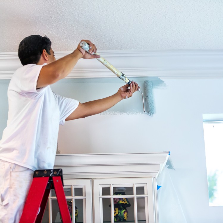 Painting and Remodeling in Cook County, IL Painting and Remodeling in Cook County, IL